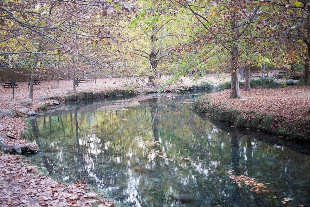 Fuentes del Marques: El otoño nace en Caravaca