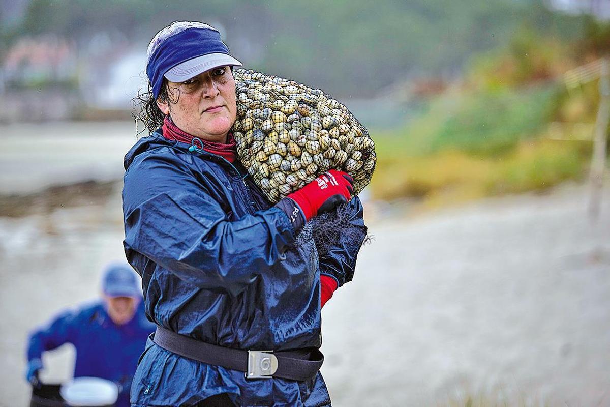 O Concello de Rianxo impulsa a creación dun Consello Municipal do Mar para abordar a crise marisqueira