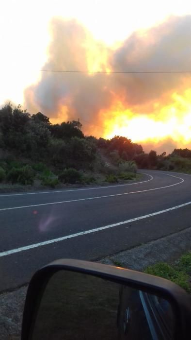 Incendio forestal en Garafía (La Palma)