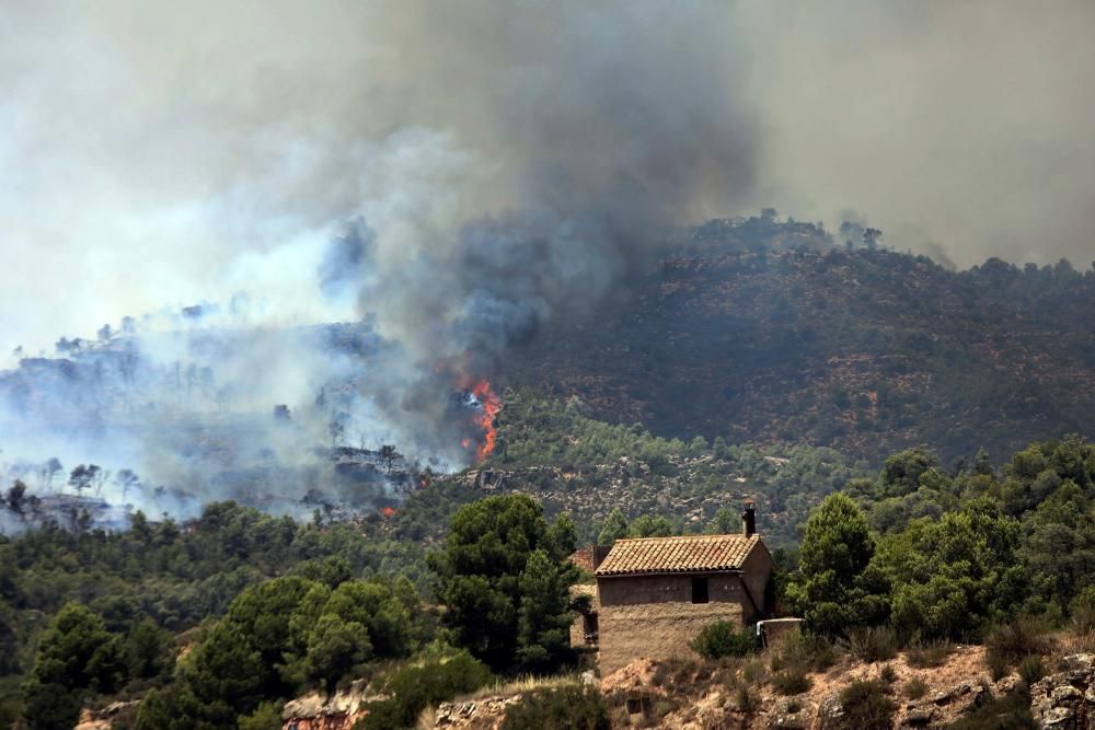 Sigue descontrolado el incendio de Tarragona ...