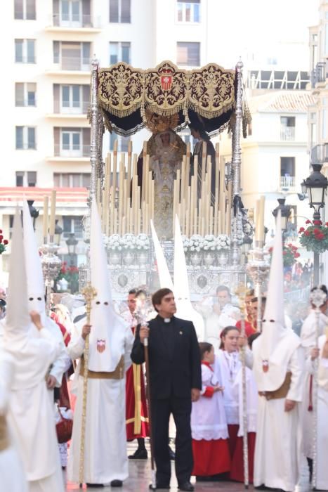 Domingo de Ramos l Prendimiento