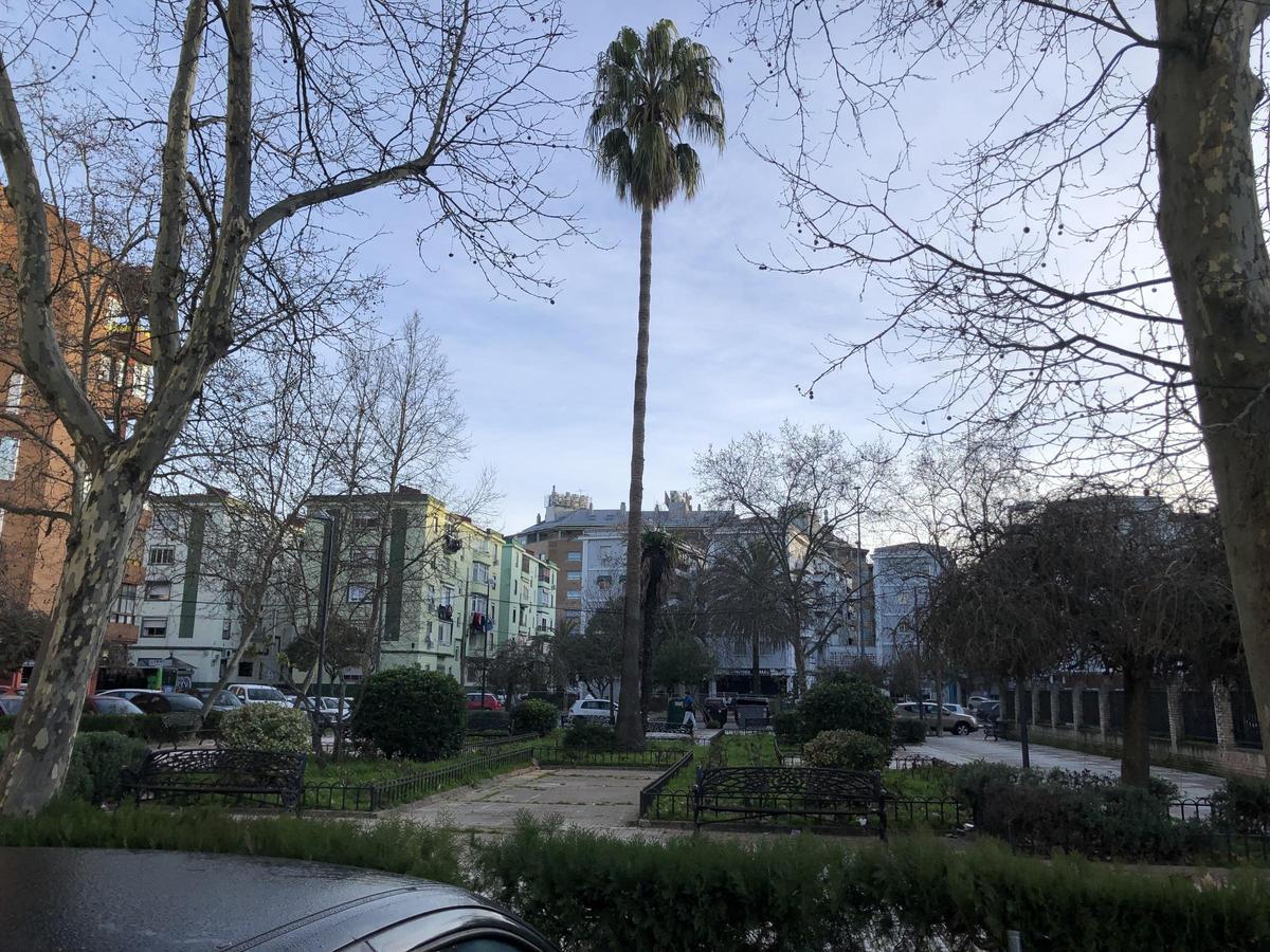 Fotogalería | La calle Salamanca, de Pinturas Mayo al Tambo