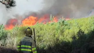 El fuego arrasa media España: ¿A cuántas Barcelonas equivalen 116.000 hectáreas?