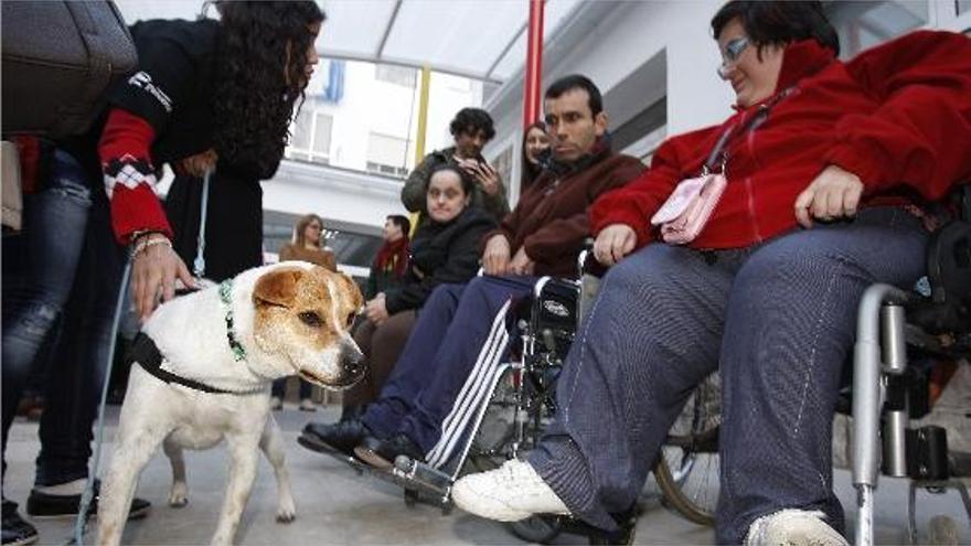 Uno de los menores habla con una discapacitada mientras sujeta a uno de los canes participantes en el proyecto, ayer en Torrent.