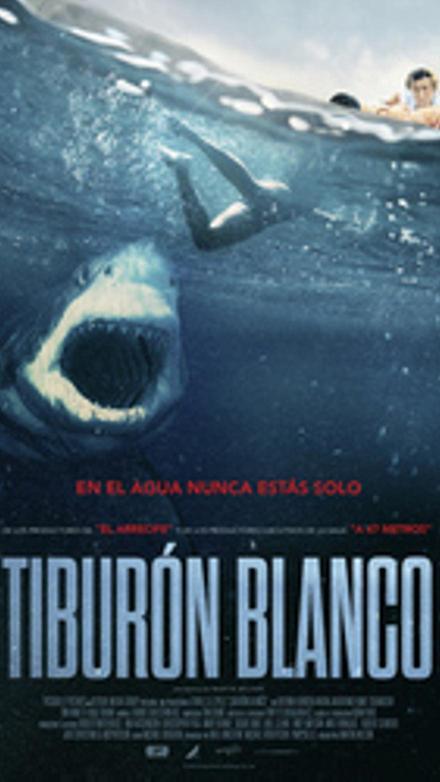 Tiburón blanco