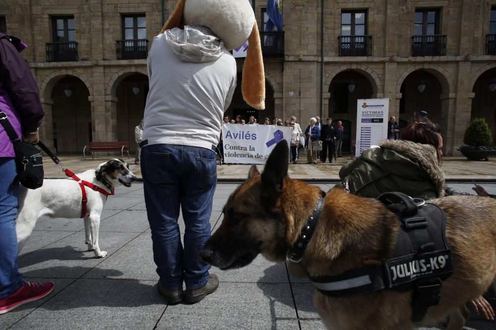 Concentración para reclamar un albergue de animales en Avilés