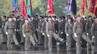 El Ejército de Tierra y el ARS Palma del Río, entre los distinguidos con la Bandera de Andalucía