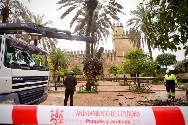 Aviso naranja en Córdoba
