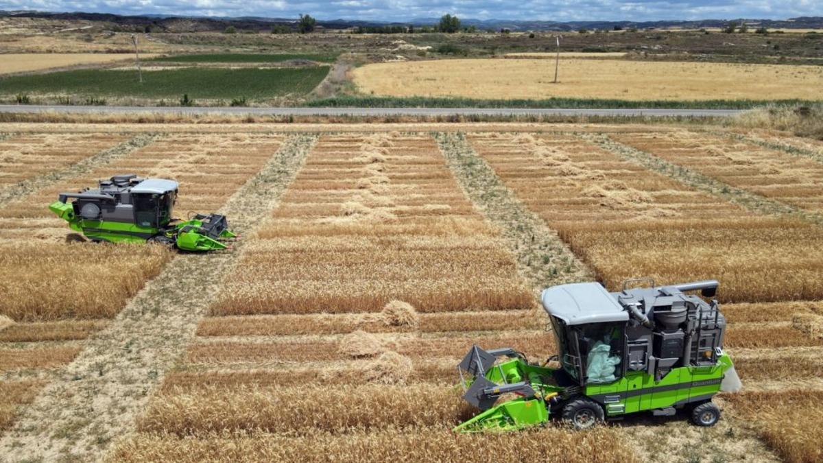 Dos cosechadoras en campos de trigo en la localidad zaragozana de Sádaba.