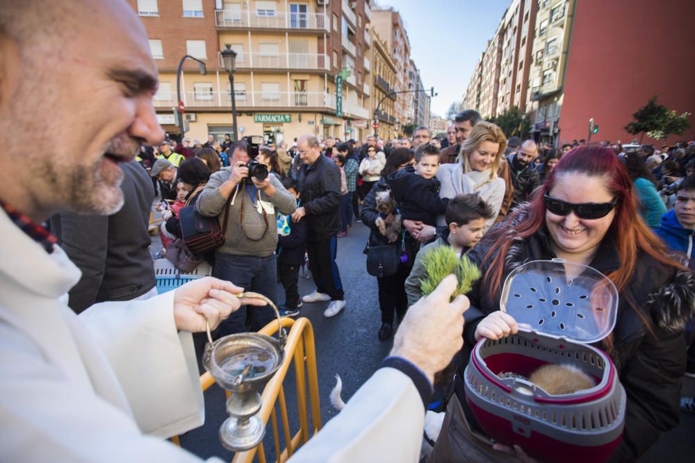 Bendición de animales por Sant Antoni del Porquet