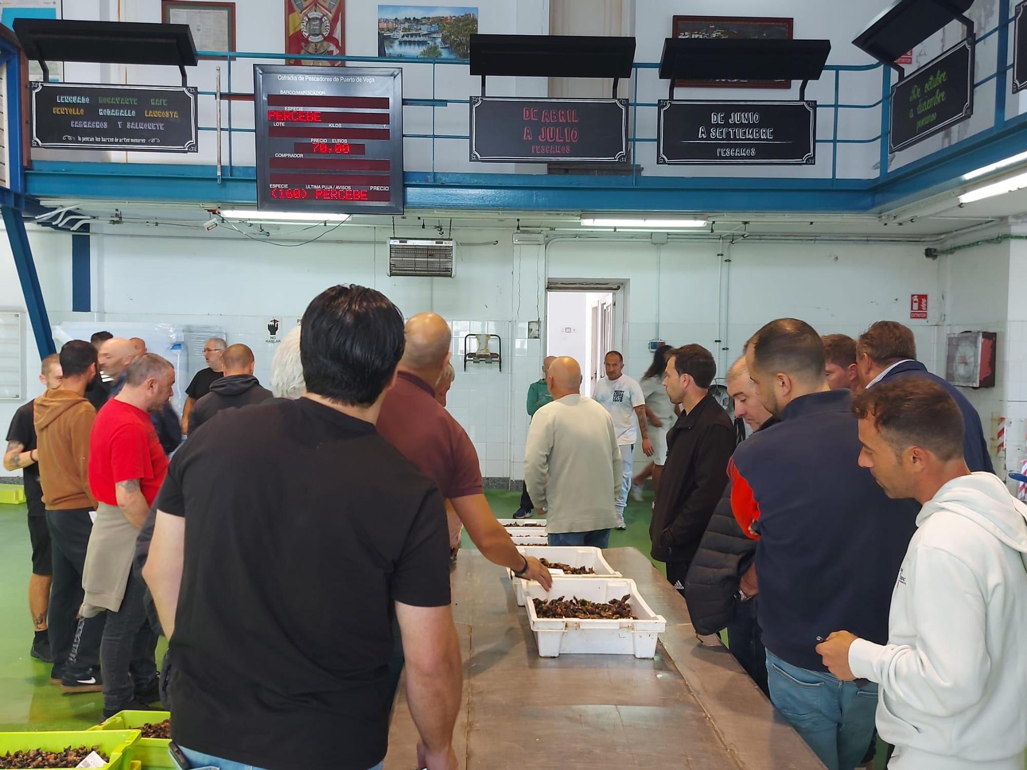 En imágenes: La primera subasta de percebe de la temporada en la rula de Puerto de Vega
