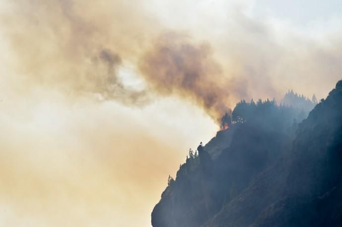 10-08-2019 ARTENARA. Incendio en la cumbre de Gran Canaria  | 10/08/2019 | Fotógrafo: Andrés Cruz