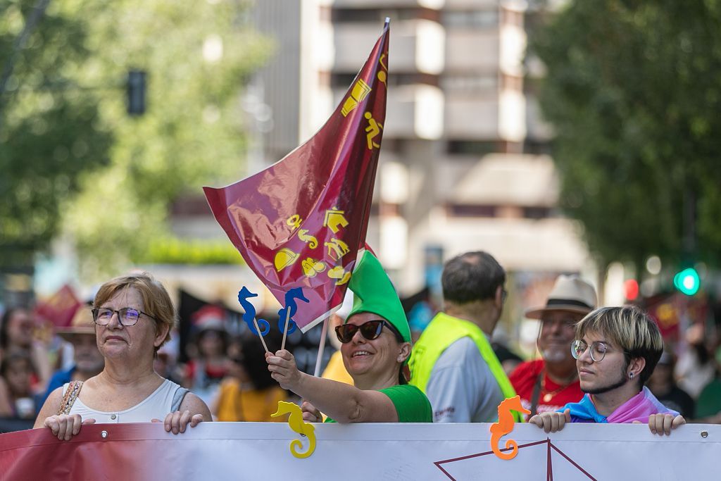 Las marchas de la dignidad este 9 de junio, en imágenes