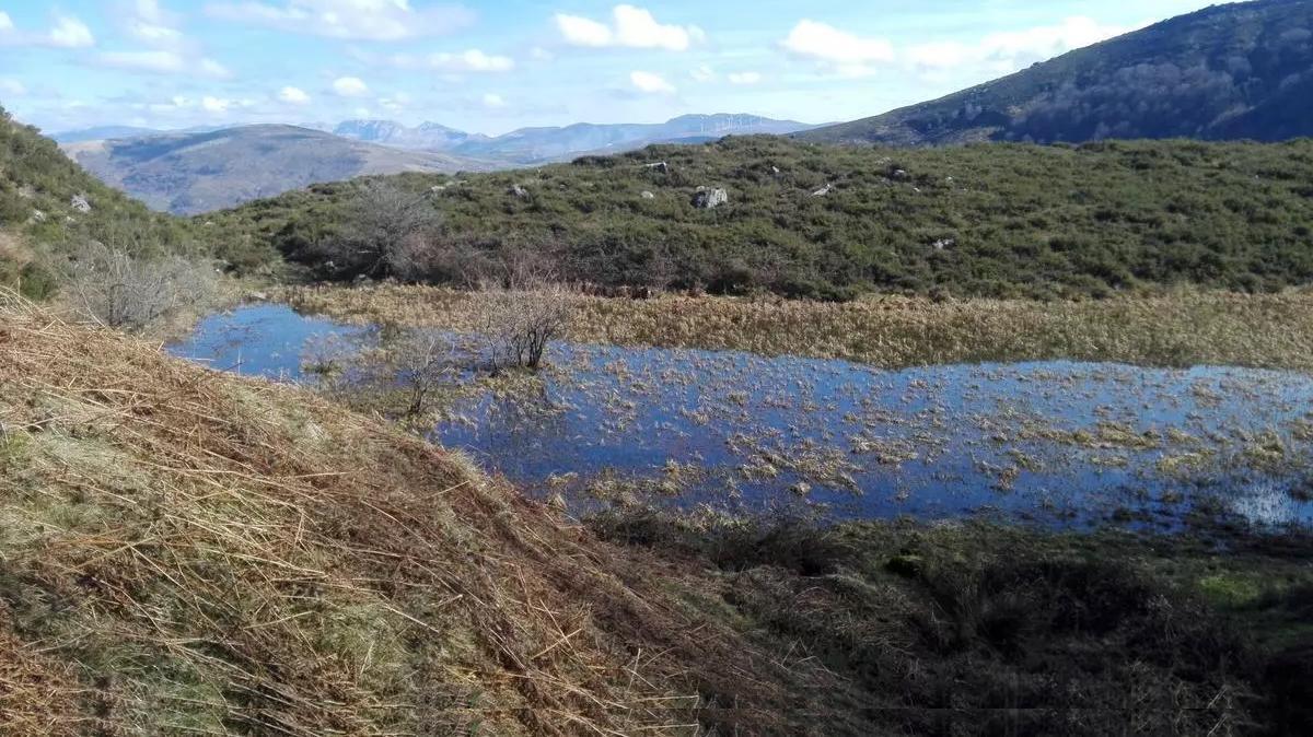 Una de las 282 turberas existentes en la sierra del Escudo, en Cantabria.