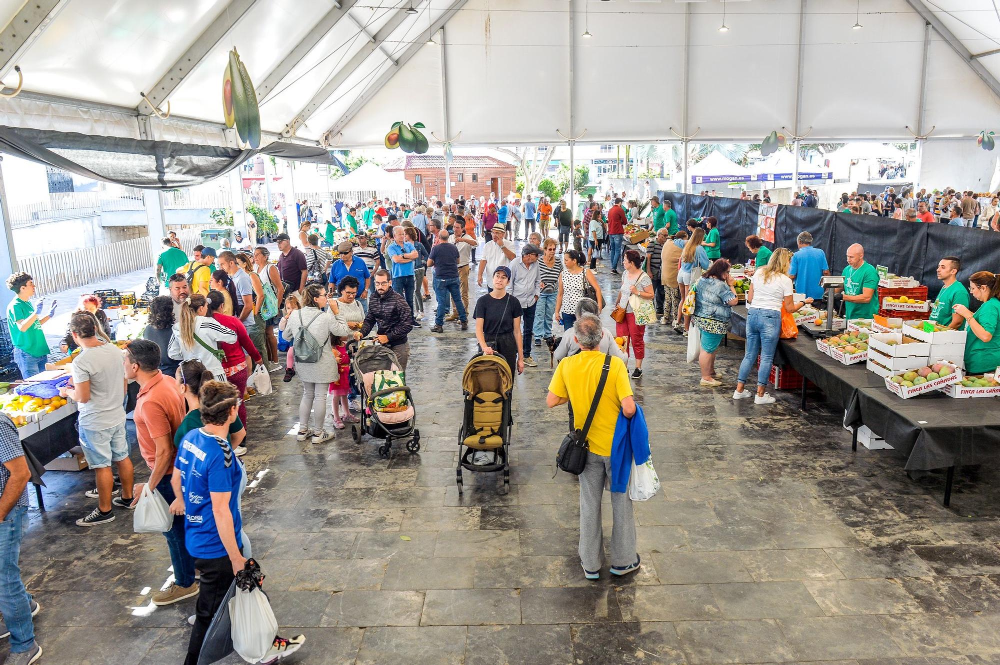 Feria del Aguacate Arguineguín 2022