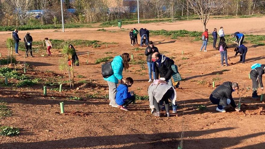 Plantación de árboles en el Parque de Levante por parte de componentes del Ciudad de Córdoba de baloncesto.