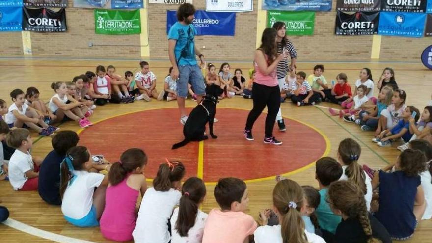 Exhibición canina para trabajar la hiperactividad