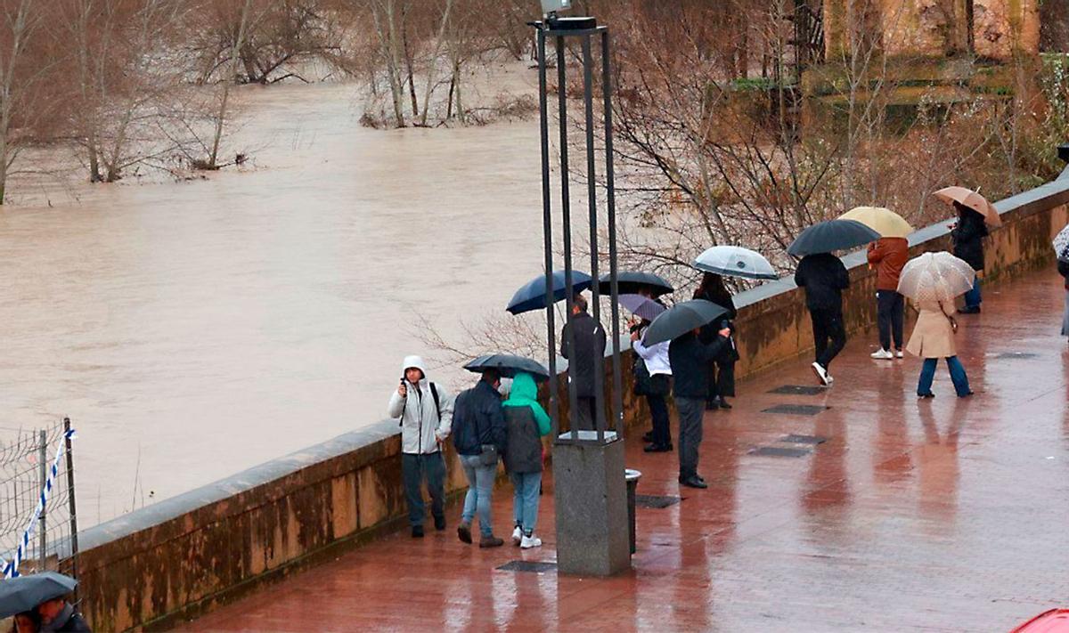 Crecida del Guadalquivir a su paso por Córdoba.