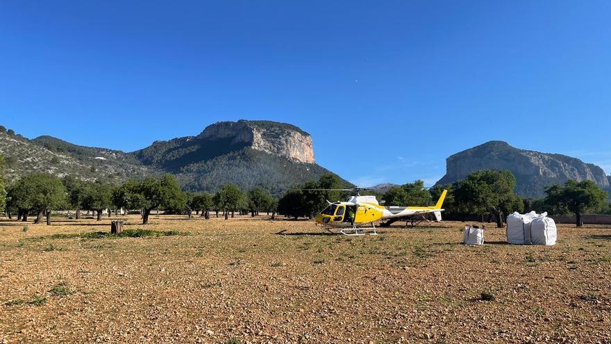 Un dispositivo aéreo elimina más de 20 sacas de residuos del Castell d&#039;Alaró