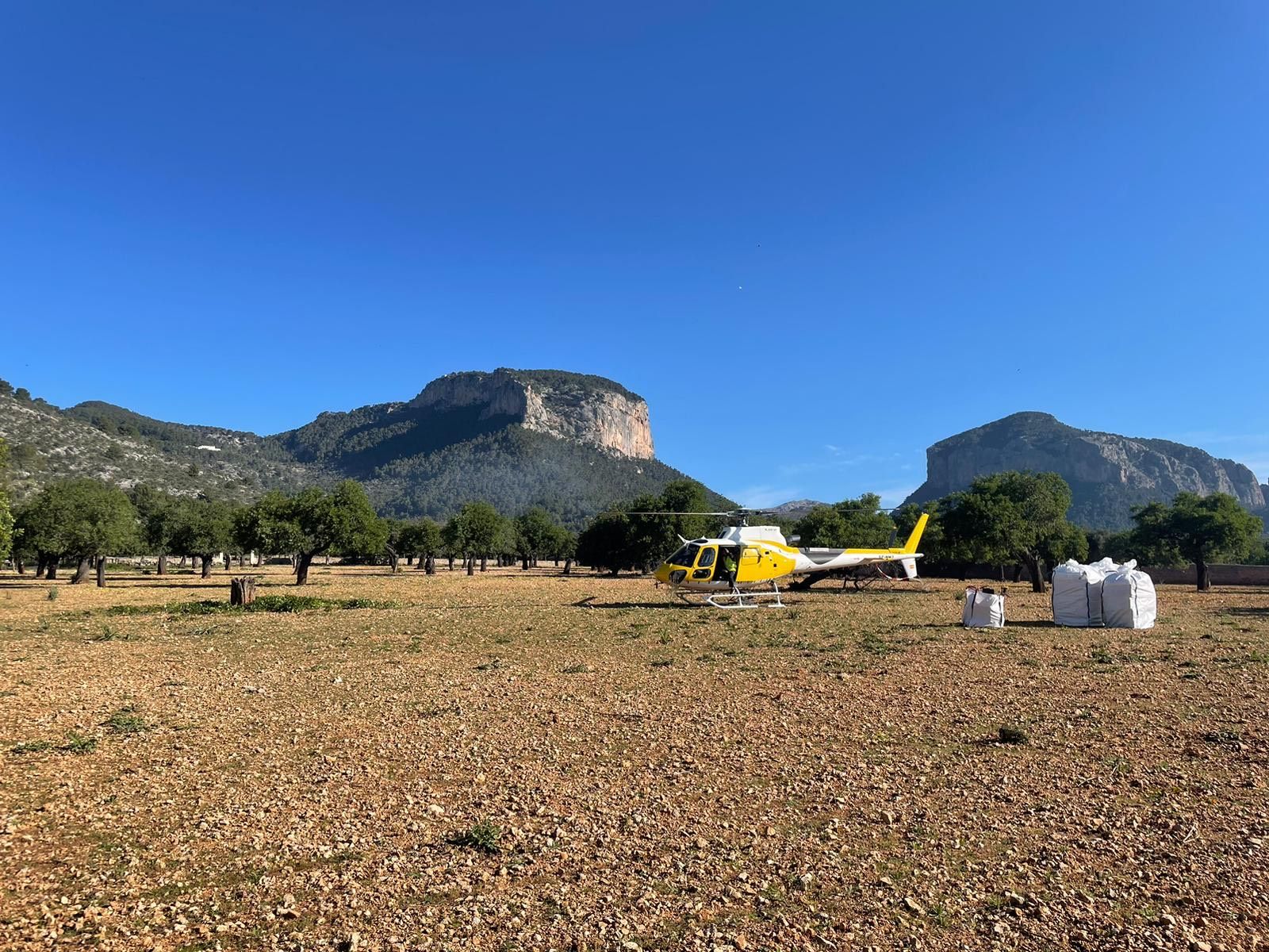 La retirada de residuos del Castell d'Alaró, en imágenes