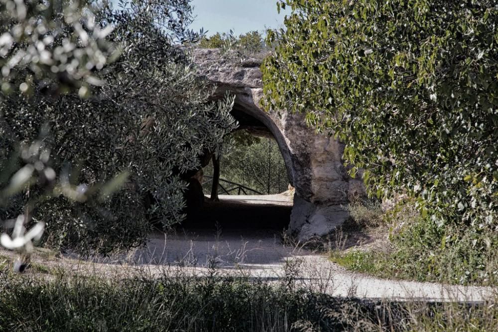 Fuentes del Marques: El otoño nace en Caravaca