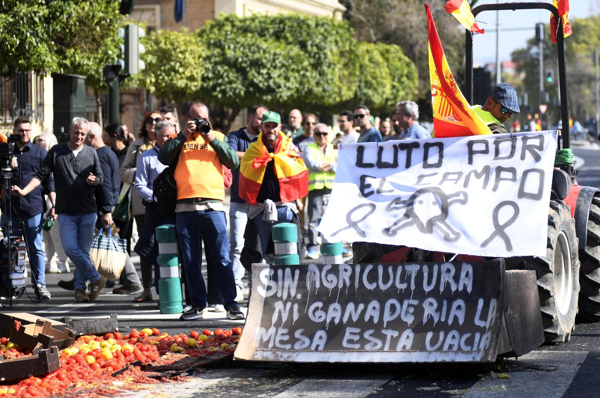 FOTOS: Las protestas de los agricultores murcianos el 21F, en imágenes