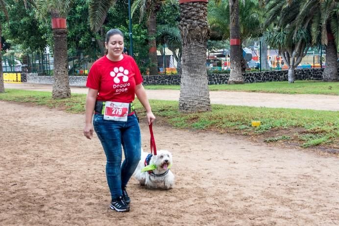 La Doggie Race, vista por José Fco. Fernández Belda