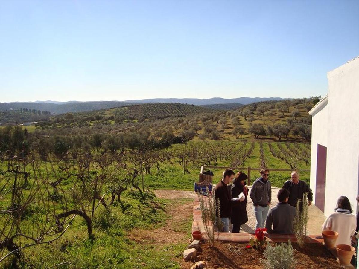 Bodegas Tierra Savia, en Alanís.