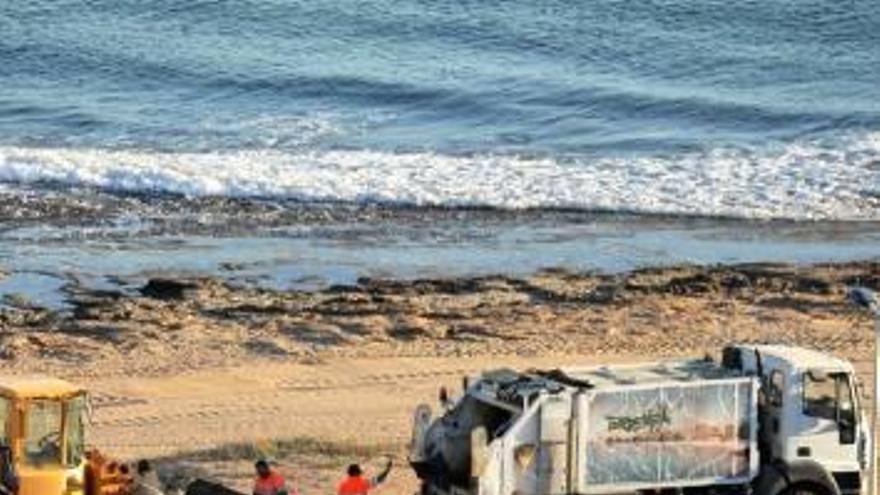 Limpieza en las playas de Torrevieja de Acciona.