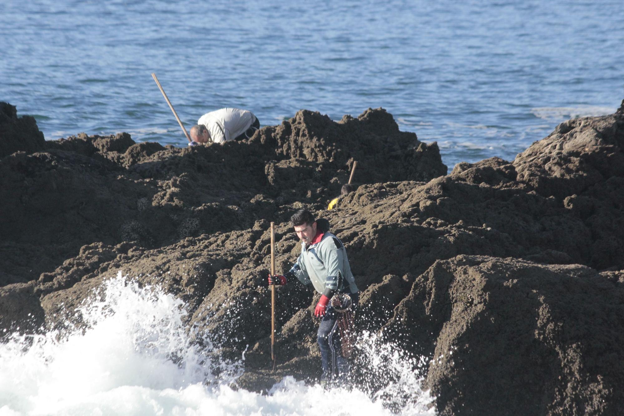 Percebeiros de Cangas vuelven al "manicomio" de la Costa da Vela