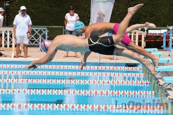 Campeonato Regional de Natación (2)