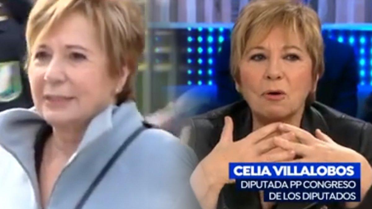 celia-villalobos