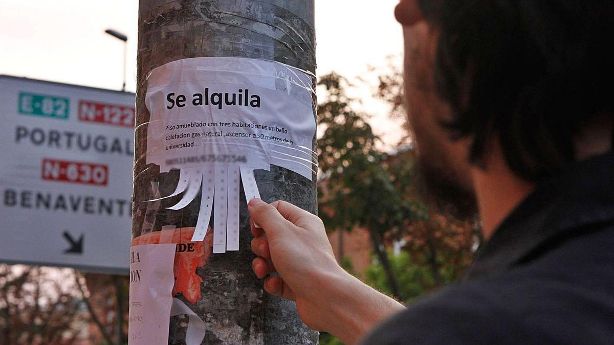 Anuncio para alquilar una vivienda colocado en una farola de la capital. | Emilio Fraile