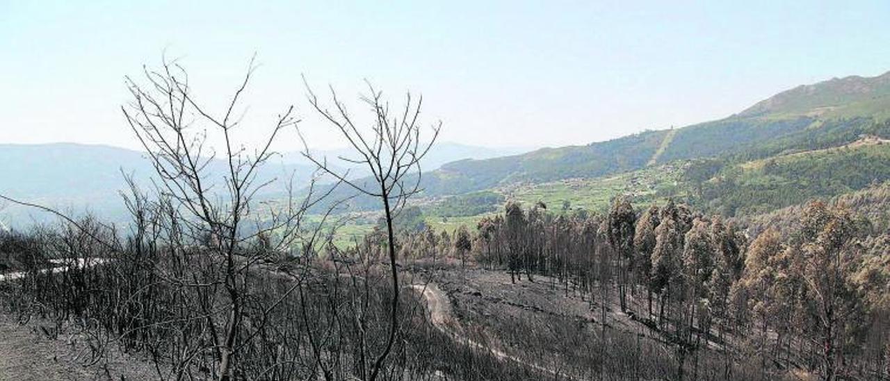 La huella dejada  en el monte por el incendio de Arbo, ayer. |   // ANXO GUTIÉRREZ