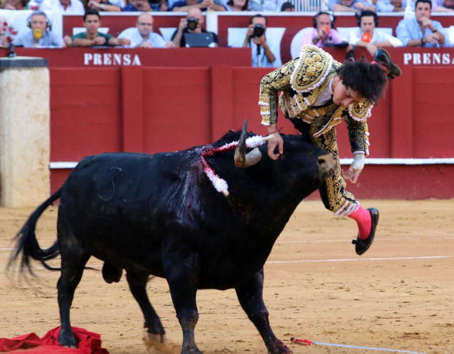 Morante de la Puebla, El Juli y Roca Rey, protagonistas del cartel del jueves en La Malagueta.