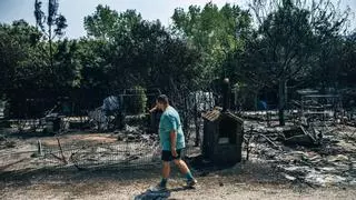 La niebla frena el avance de los incendios, que arrasan más de 4.200 hectáreas