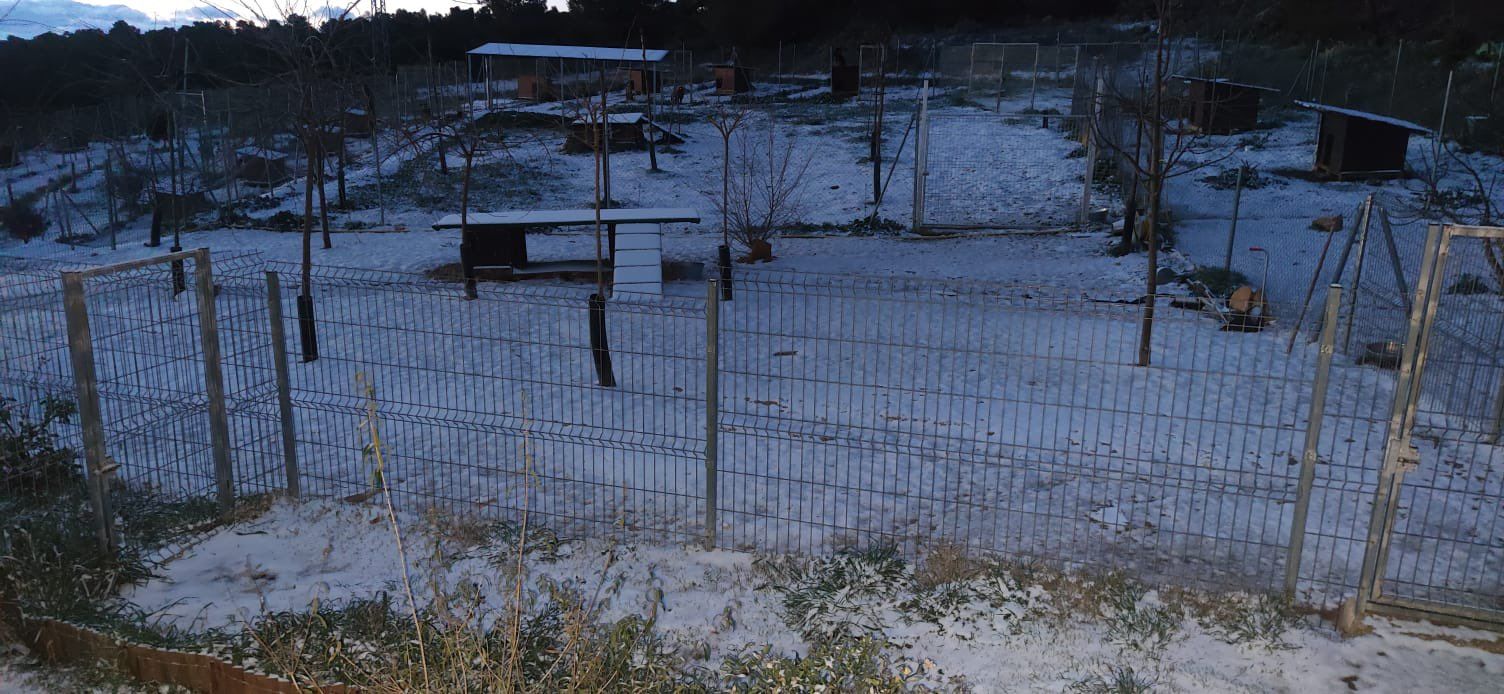 Nieve en la sierra de Enguera