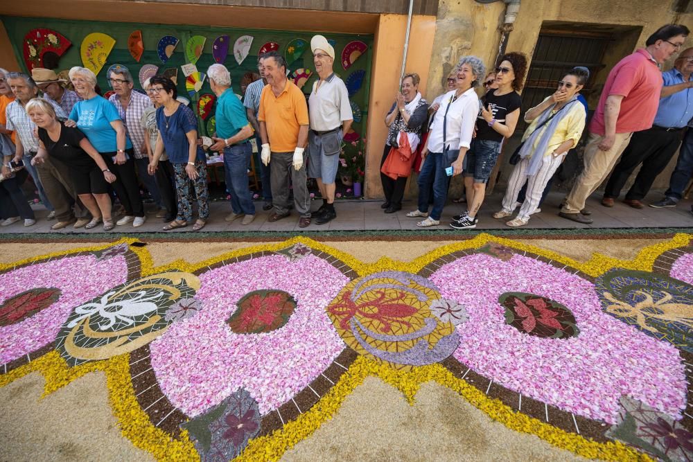 El concurs de catifes de flors naturals omple Arbúcies