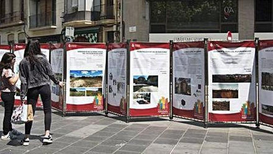 Exposició dels projectes de l&#039;any passat al passeig Pere III