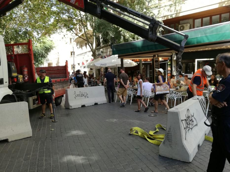 Medidas de seguridad en Palma tras los atentados en Barcelona