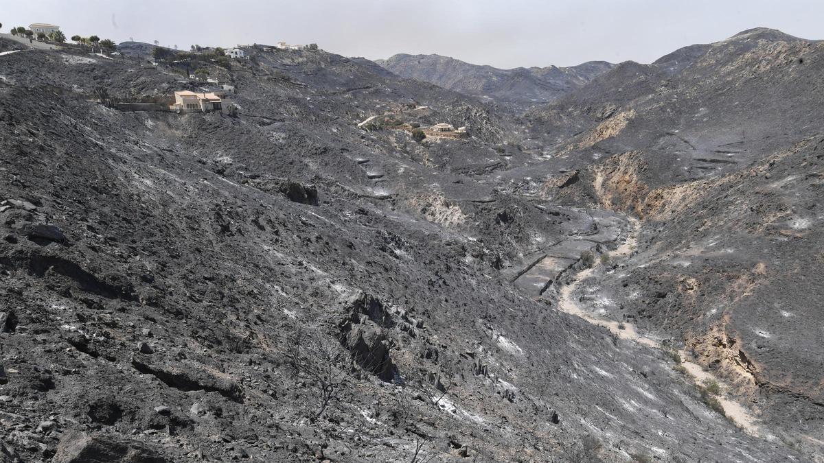 Terreno calcinado en el incendio forestal de Los Gallardos, Almería.