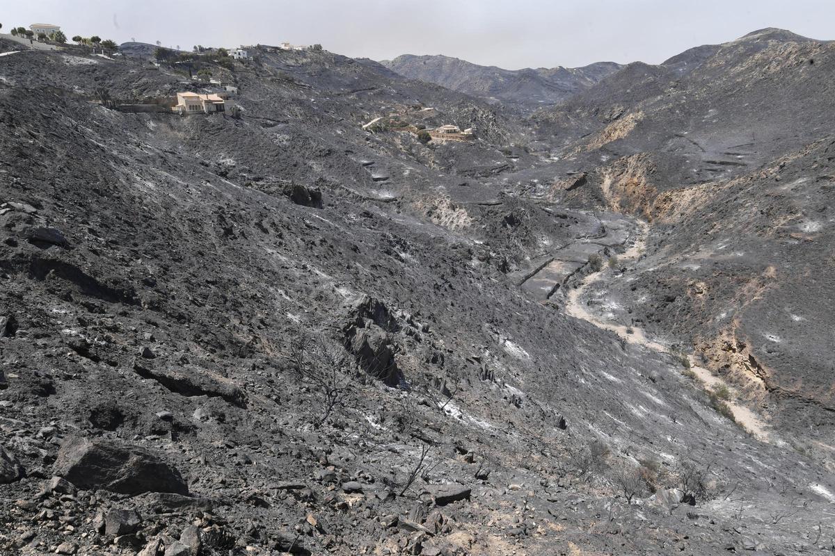 Terreno calcinado en el incendio forestal de Los Gallardos, Almería.