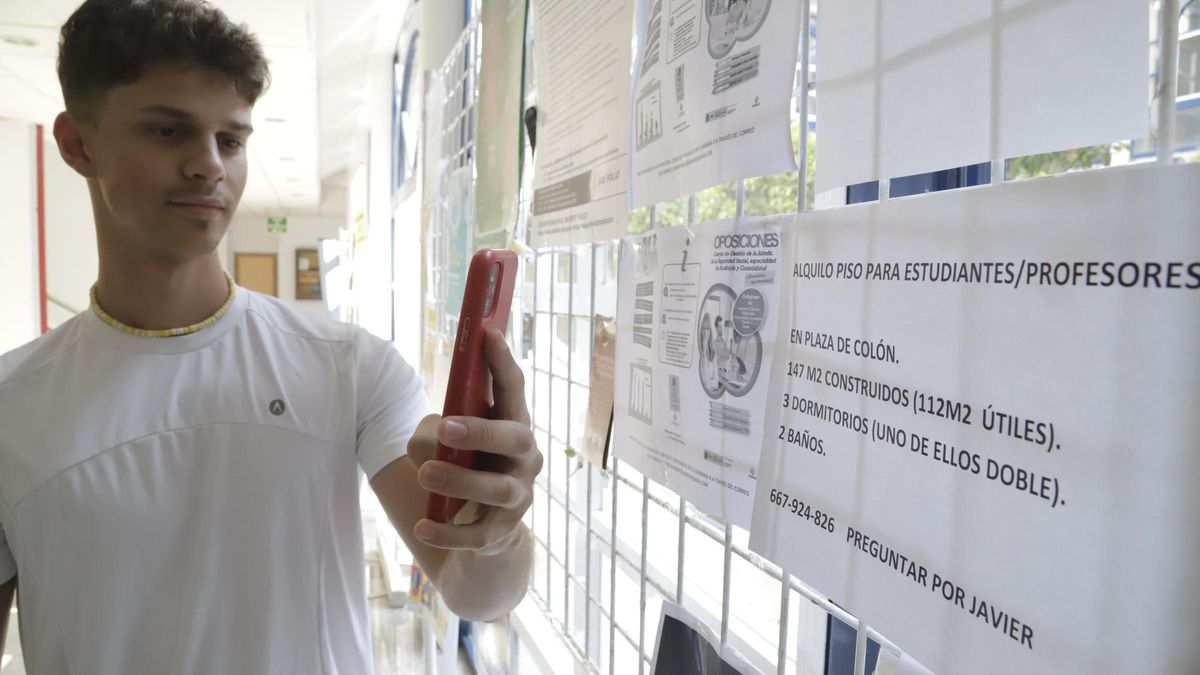 Un estudiante observa una oferta de piso de alquiler en una facultad de Córdoba.
