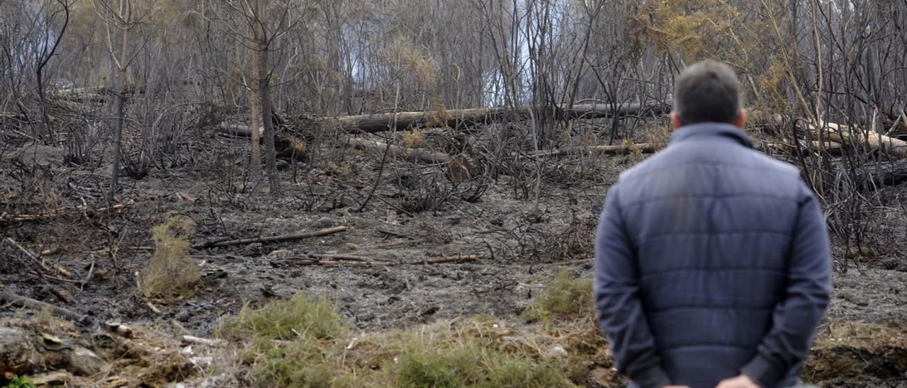Un incendio forestal registrado este mes y controlado en la comarca del Deza. |   // BERNABÉ / JAVIER LALÍN
