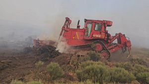 Els incendis a Espanya deixen gairebé 400.000 hectàrees arrasades i 33 detinguts; el vent dificulta l’extinció
