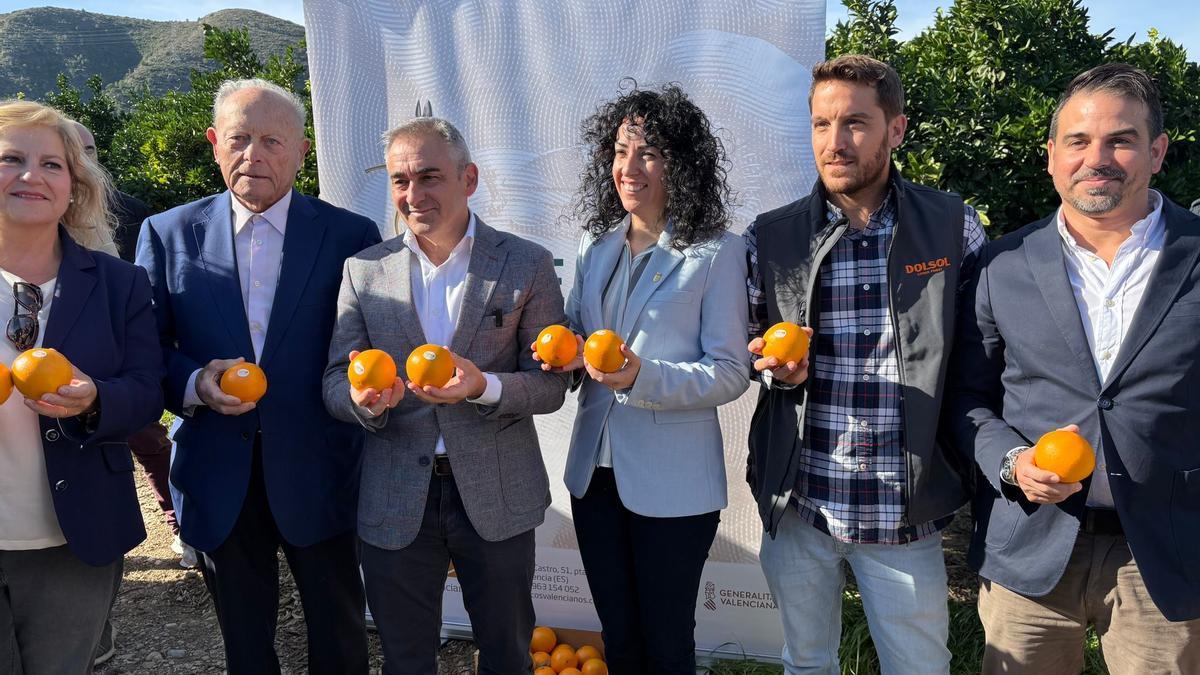 El conseller de Agricultura, Miguel Barrachina (en el centro), durante el ‘primer corte de la naranja’.