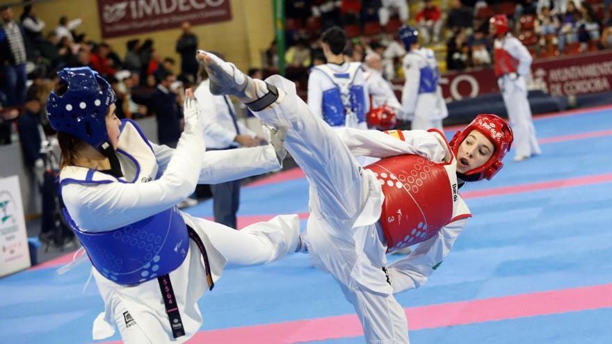 El Open Internacional de Andalucía de taekwondo reunirá a cerca de 800 participantes