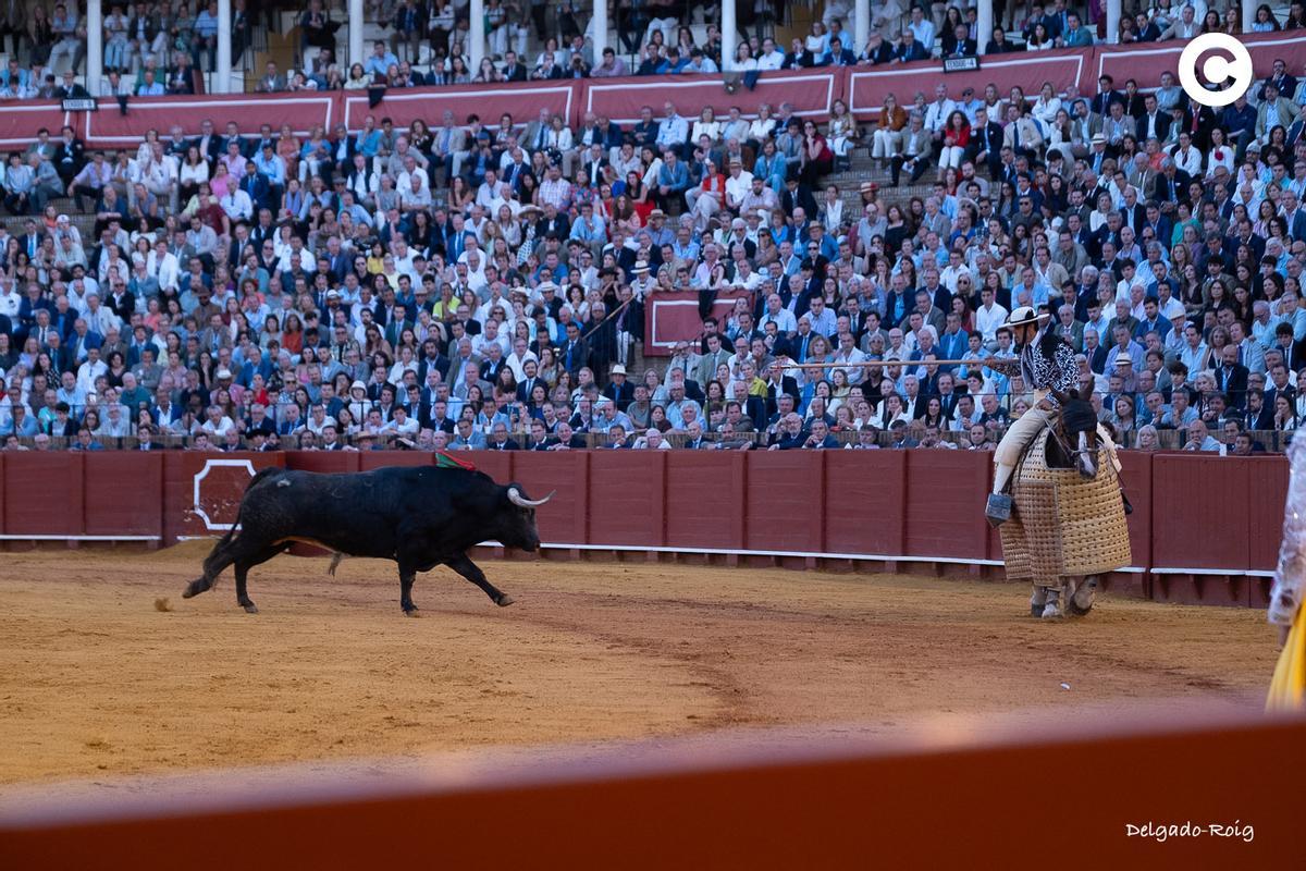 ‘Palillero’ también se arrancó de lejos al caballo.