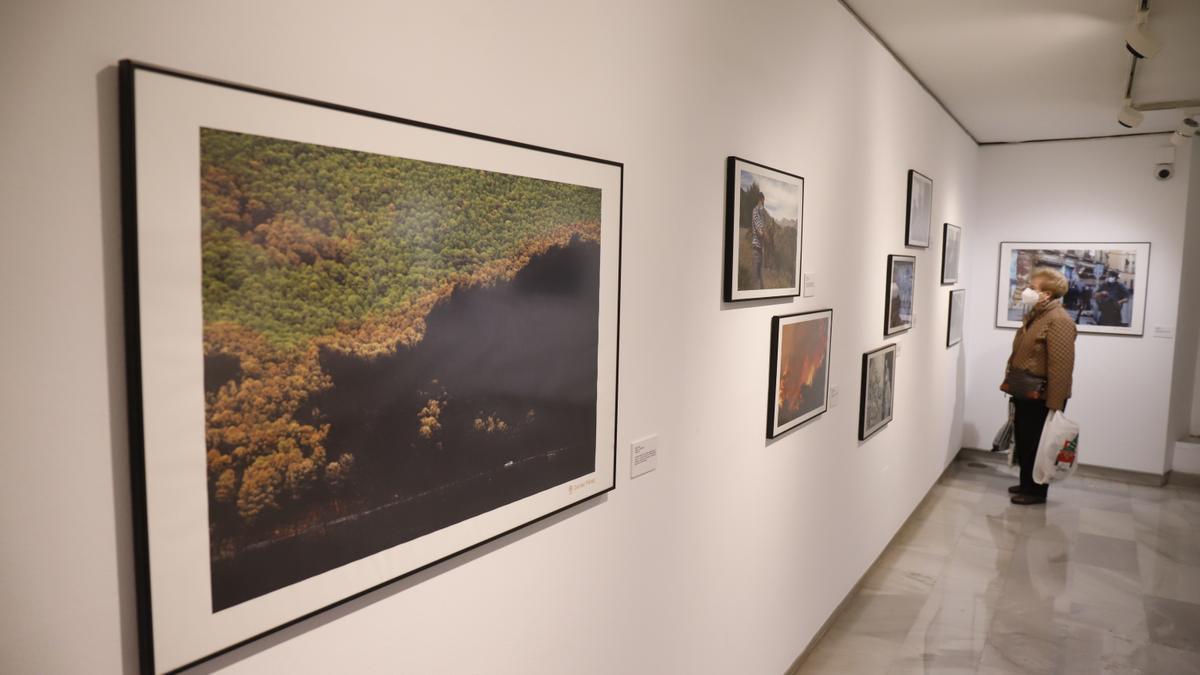 Exposición fotográfica ‘Málaga 1921-2021: dos años en imágenes’ de la sala Mingorance