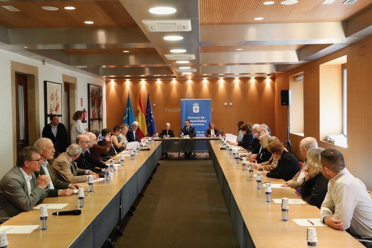 El pleno dle Consejo de Comunidades Asturianas.